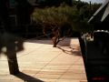 work way deck 000201.jpg